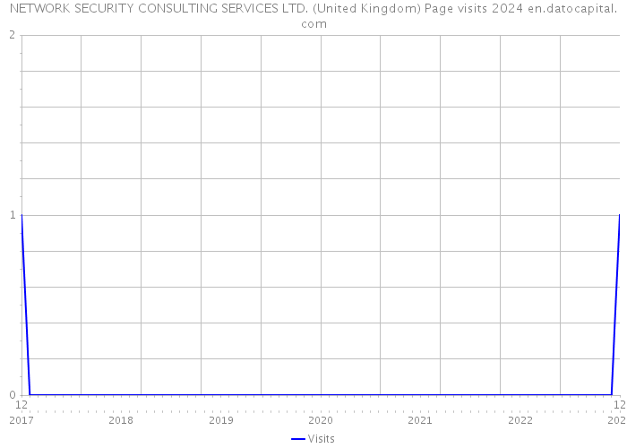 NETWORK SECURITY CONSULTING SERVICES LTD. (United Kingdom) Page visits 2024 