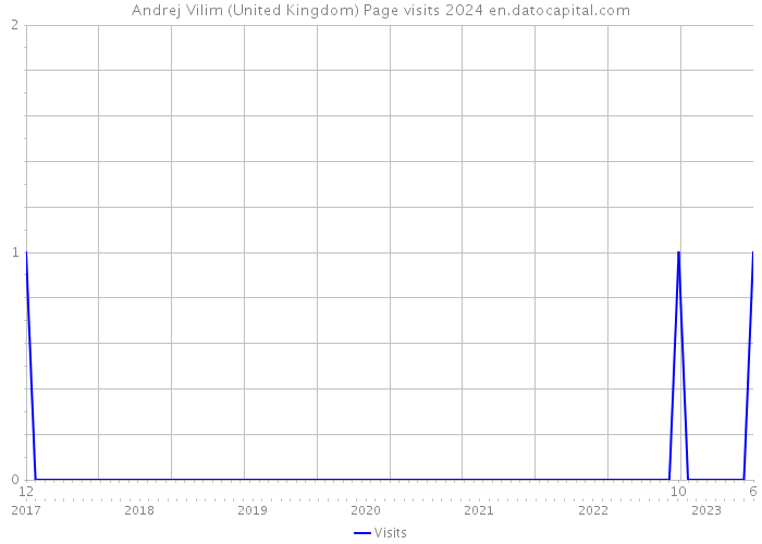 Andrej Vilim (United Kingdom) Page visits 2024 
