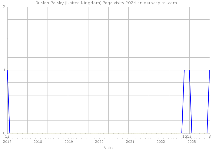 Ruslan Polsky (United Kingdom) Page visits 2024 