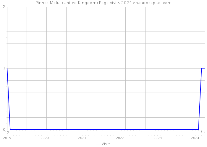 Pinhas Melul (United Kingdom) Page visits 2024 