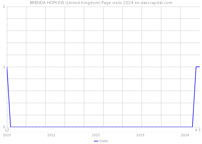 BRENDA HOPKINS (United Kingdom) Page visits 2024 