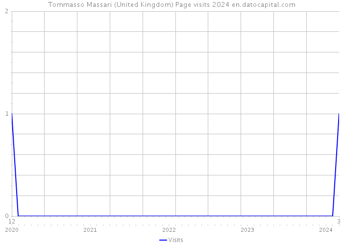 Tommasso Massari (United Kingdom) Page visits 2024 