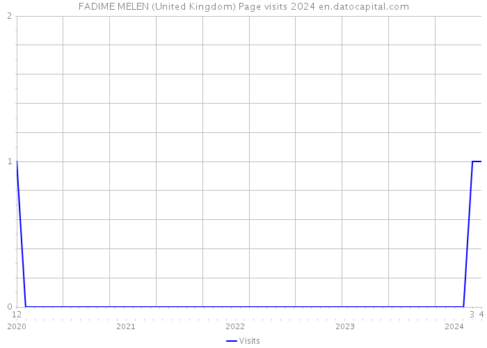 FADIME MELEN (United Kingdom) Page visits 2024 