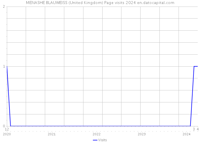 MENASHE BLAUWEISS (United Kingdom) Page visits 2024 