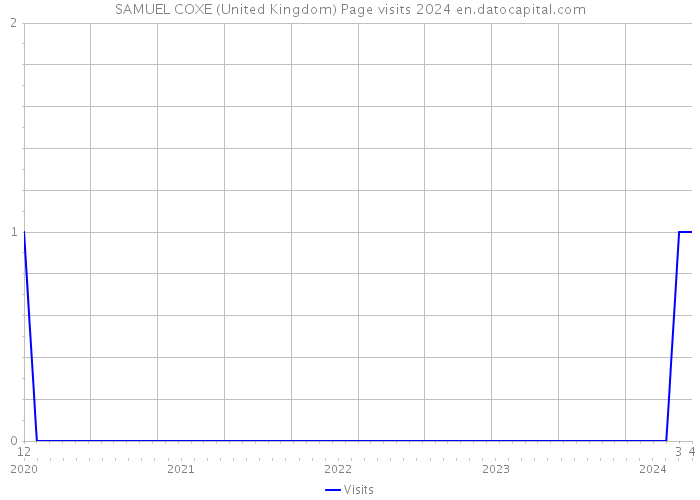 SAMUEL COXE (United Kingdom) Page visits 2024 