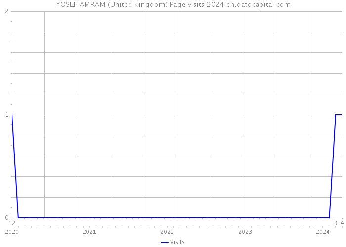 YOSEF AMRAM (United Kingdom) Page visits 2024 