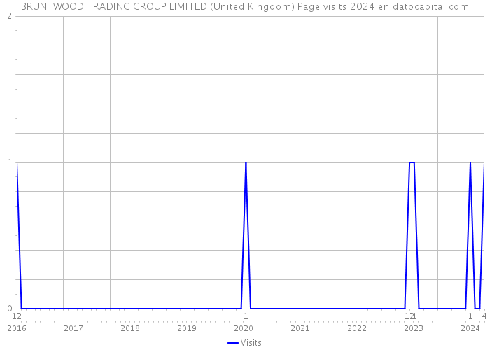 BRUNTWOOD TRADING GROUP LIMITED (United Kingdom) Page visits 2024 