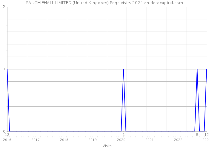 SAUCHIEHALL LIMITED (United Kingdom) Page visits 2024 