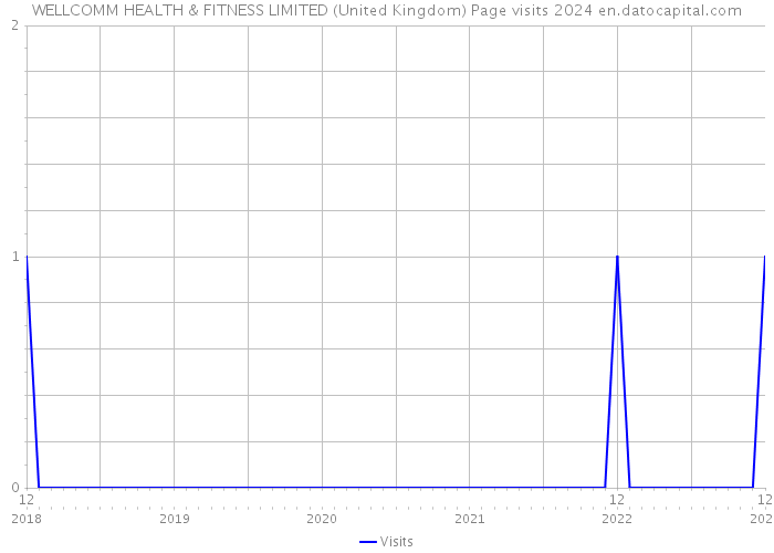 WELLCOMM HEALTH & FITNESS LIMITED (United Kingdom) Page visits 2024 