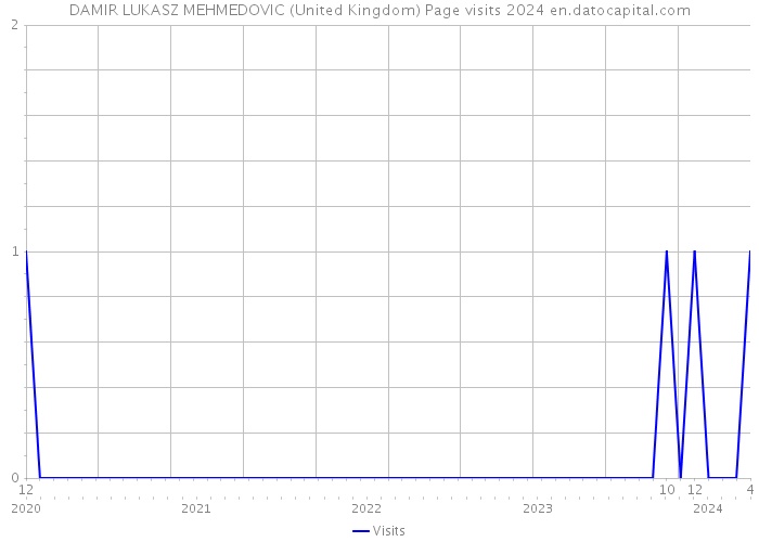 DAMIR LUKASZ MEHMEDOVIC (United Kingdom) Page visits 2024 