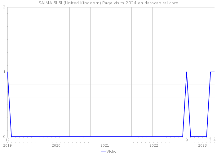 SAIMA BI BI (United Kingdom) Page visits 2024 