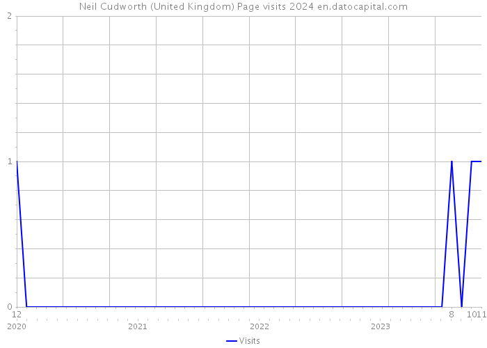 Neil Cudworth (United Kingdom) Page visits 2024 