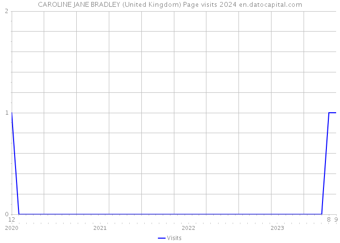 CAROLINE JANE BRADLEY (United Kingdom) Page visits 2024 