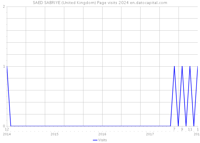SAED SABRIYE (United Kingdom) Page visits 2024 