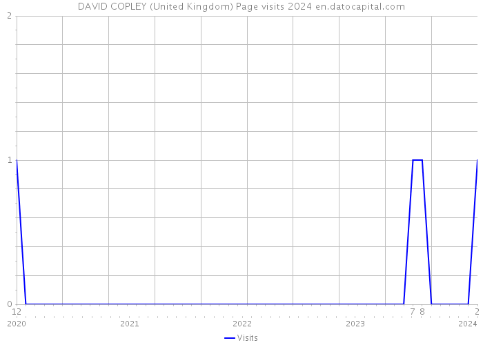 DAVID COPLEY (United Kingdom) Page visits 2024 