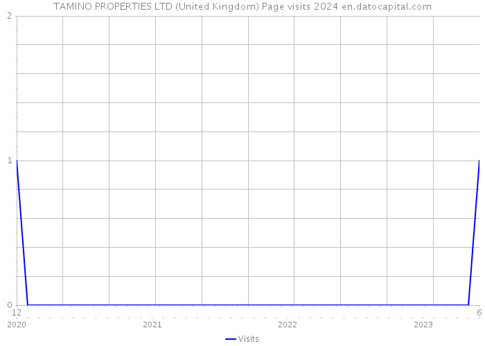 TAMINO PROPERTIES LTD (United Kingdom) Page visits 2024 
