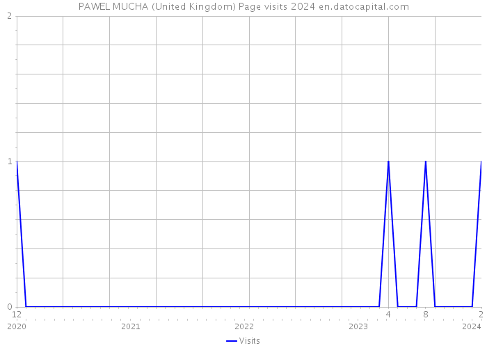 PAWEL MUCHA (United Kingdom) Page visits 2024 