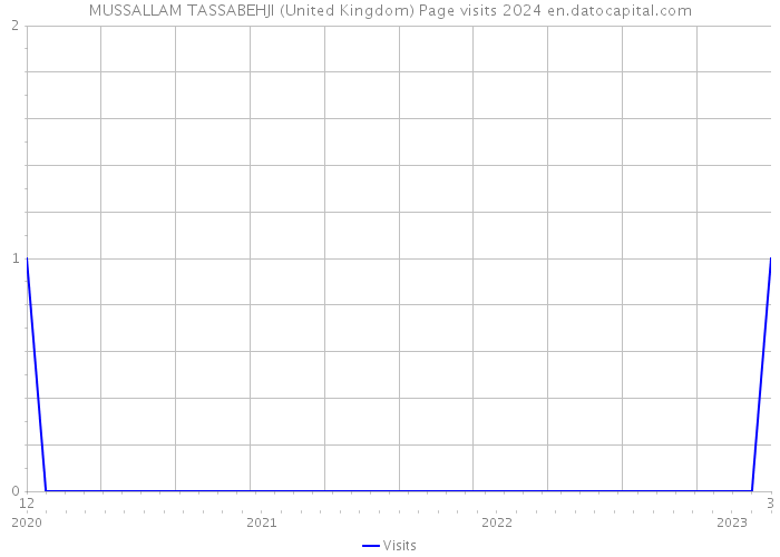MUSSALLAM TASSABEHJI (United Kingdom) Page visits 2024 