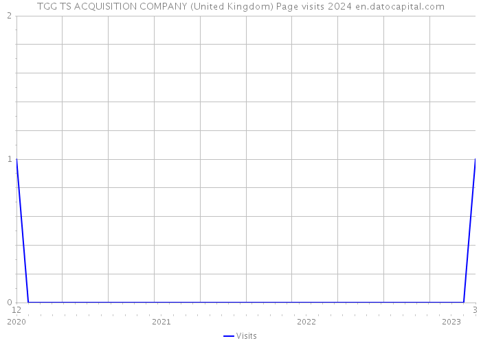 TGG TS ACQUISITION COMPANY (United Kingdom) Page visits 2024 