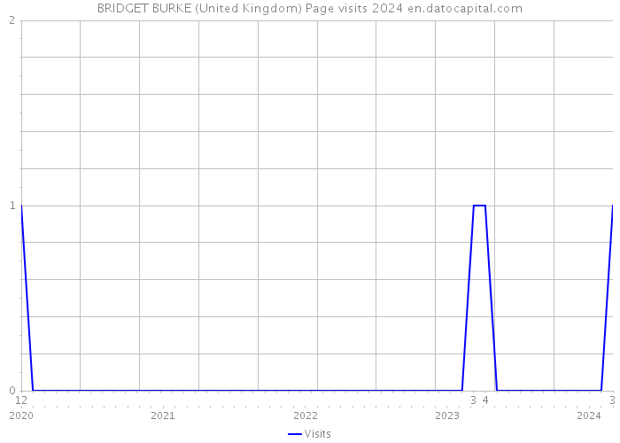 BRIDGET BURKE (United Kingdom) Page visits 2024 