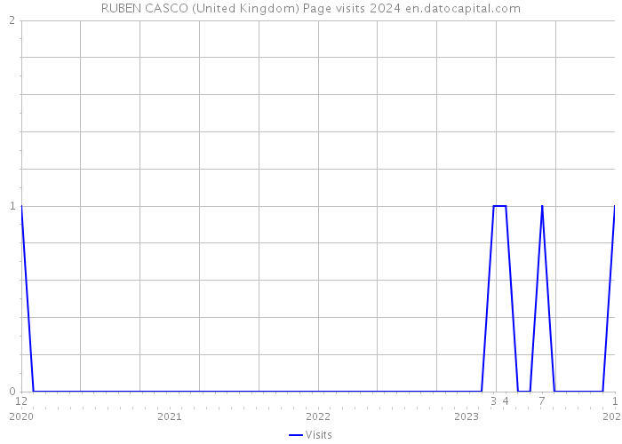 RUBEN CASCO (United Kingdom) Page visits 2024 