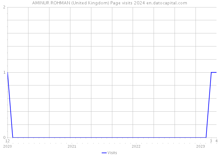 AMINUR ROHMAN (United Kingdom) Page visits 2024 