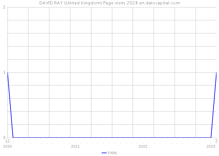 DAVID RAY (United Kingdom) Page visits 2024 