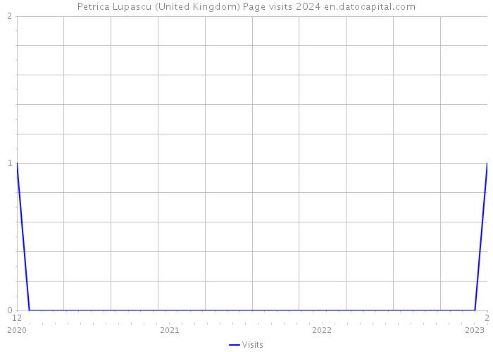 Petrica Lupascu (United Kingdom) Page visits 2024 