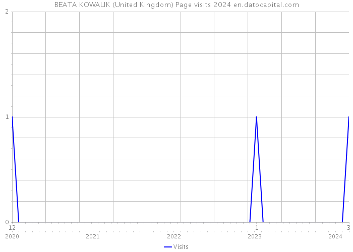 BEATA KOWALIK (United Kingdom) Page visits 2024 