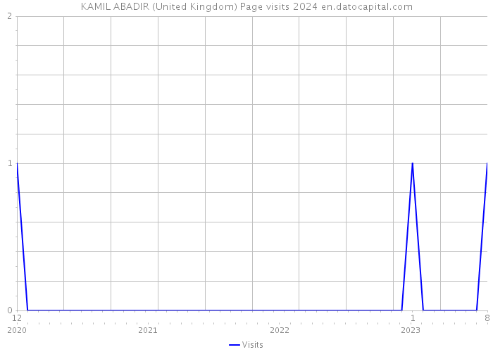 KAMIL ABADIR (United Kingdom) Page visits 2024 