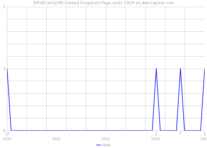 DAVID JAGLOM (United Kingdom) Page visits 2024 