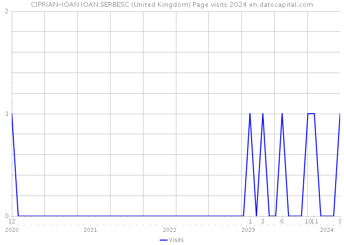 CIPRIAN-IOAN IOAN SERBESC (United Kingdom) Page visits 2024 