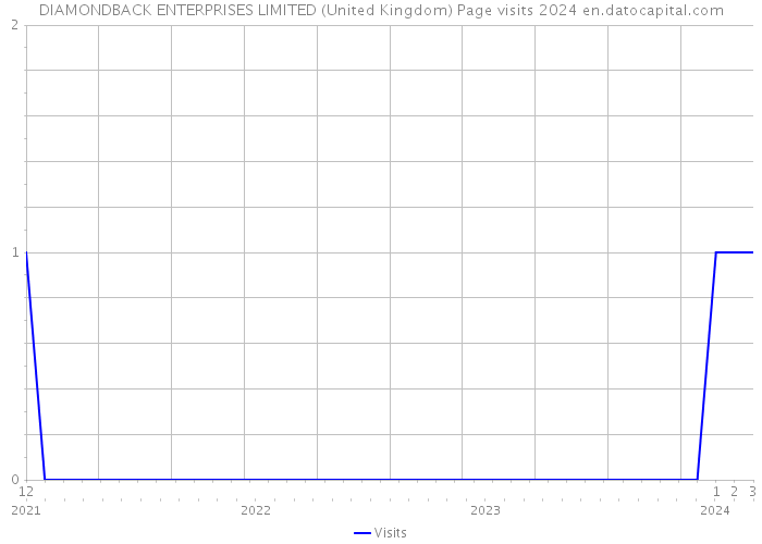 DIAMONDBACK ENTERPRISES LIMITED (United Kingdom) Page visits 2024 