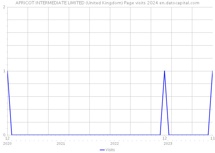 APRICOT INTERMEDIATE LIMITED (United Kingdom) Page visits 2024 
