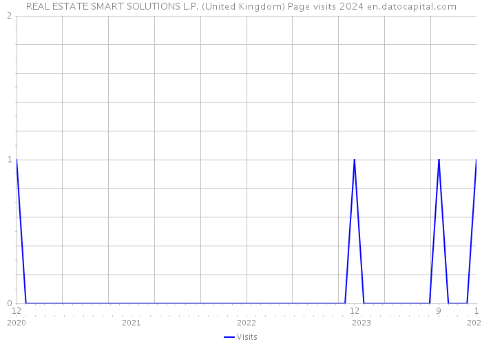REAL ESTATE SMART SOLUTIONS L.P. (United Kingdom) Page visits 2024 