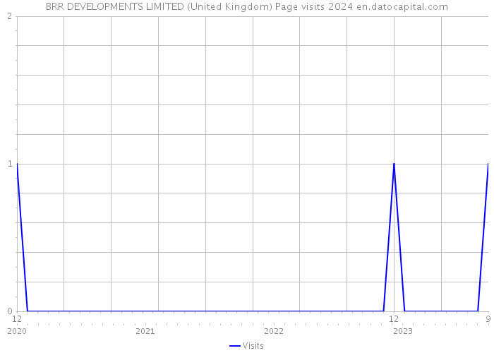 BRR DEVELOPMENTS LIMITED (United Kingdom) Page visits 2024 