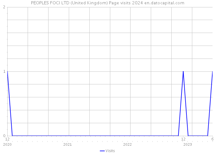 PEOPLES FOCI LTD (United Kingdom) Page visits 2024 