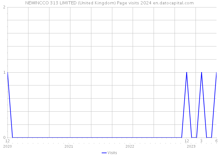 NEWINCCO 313 LIMITED (United Kingdom) Page visits 2024 