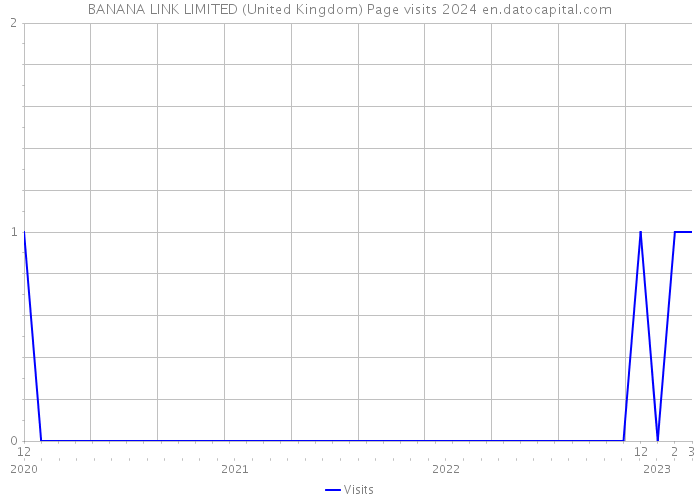 BANANA LINK LIMITED (United Kingdom) Page visits 2024 