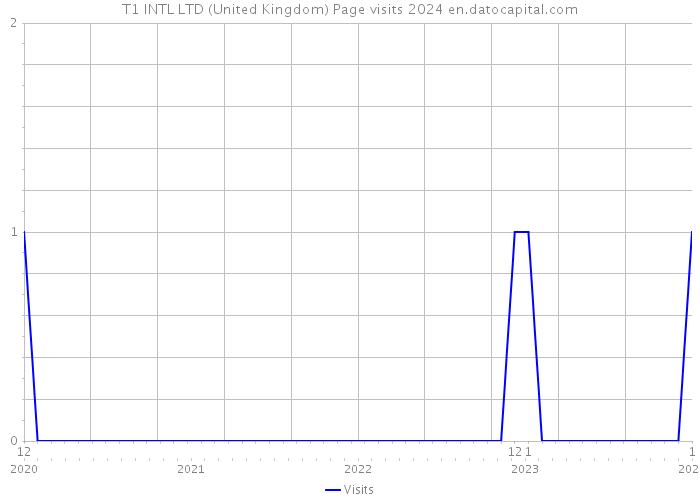 T1 INTL LTD (United Kingdom) Page visits 2024 