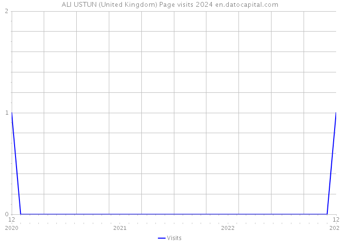 ALI USTUN (United Kingdom) Page visits 2024 