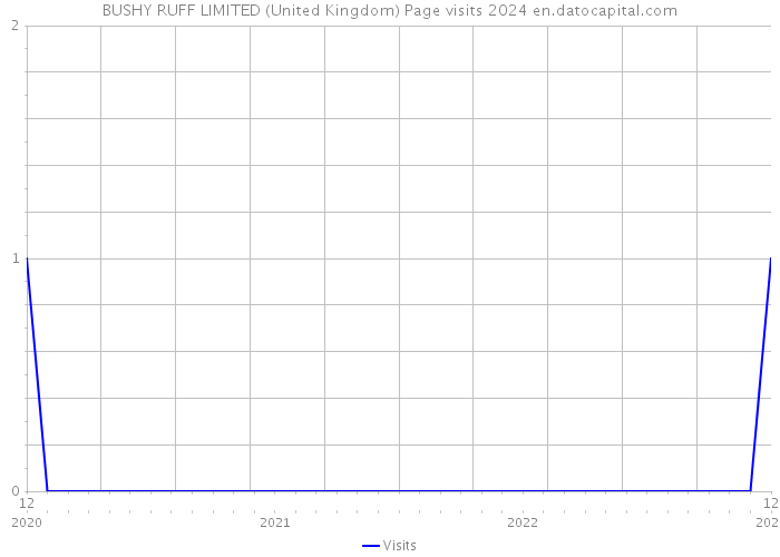 BUSHY RUFF LIMITED (United Kingdom) Page visits 2024 