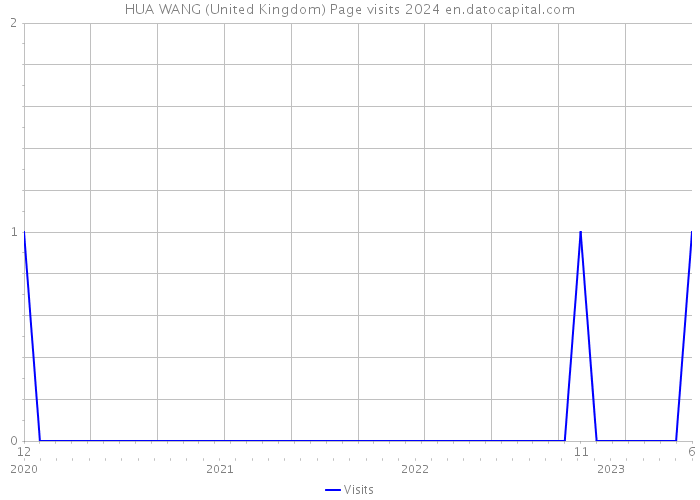 HUA WANG (United Kingdom) Page visits 2024 