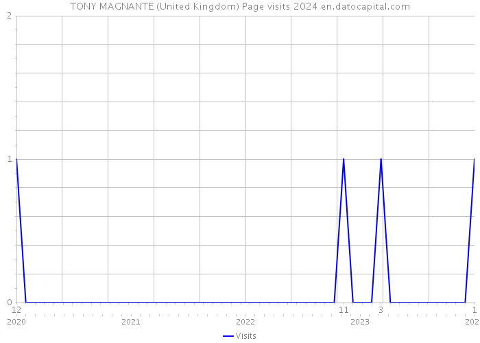 TONY MAGNANTE (United Kingdom) Page visits 2024 