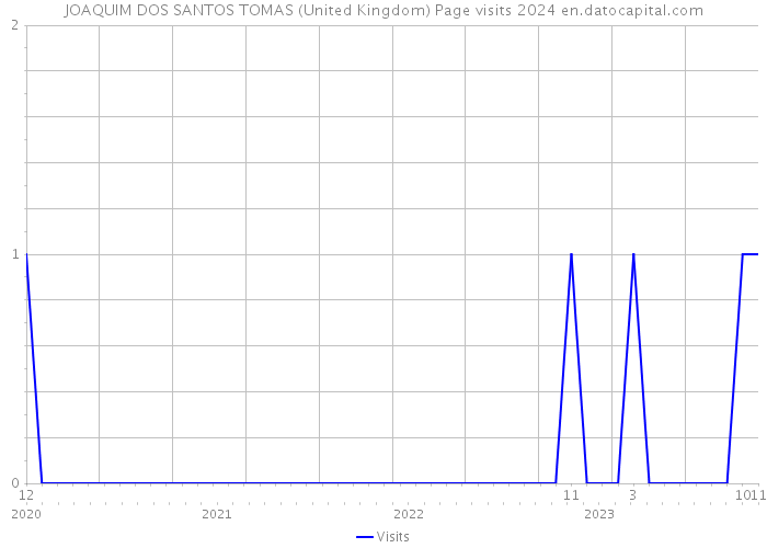 JOAQUIM DOS SANTOS TOMAS (United Kingdom) Page visits 2024 