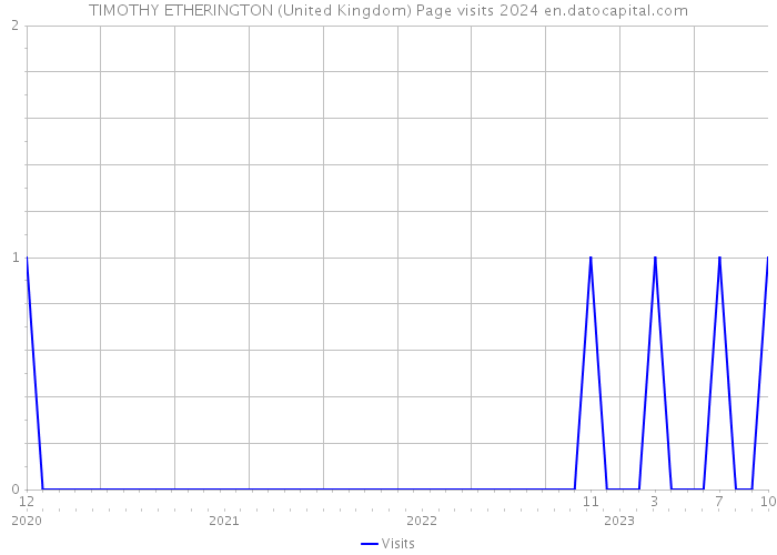 TIMOTHY ETHERINGTON (United Kingdom) Page visits 2024 