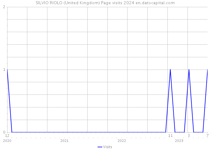 SILVIO RIOLO (United Kingdom) Page visits 2024 