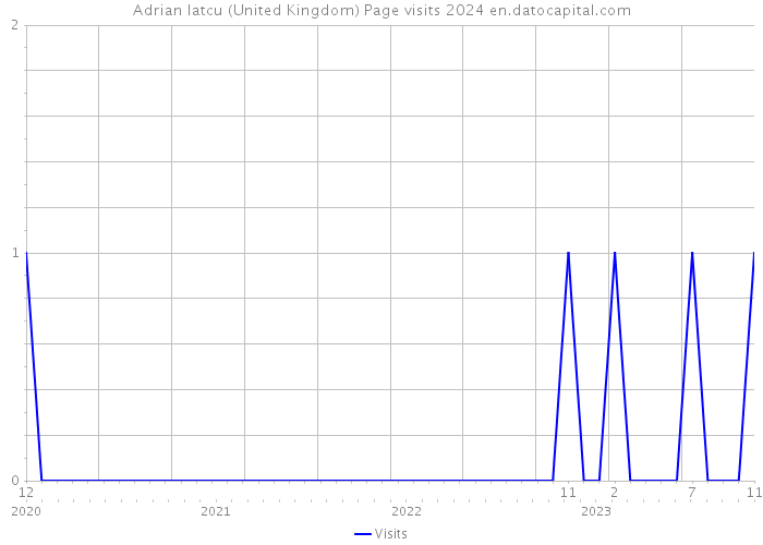 Adrian Iatcu (United Kingdom) Page visits 2024 