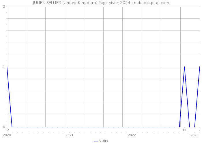JULIEN SELLIER (United Kingdom) Page visits 2024 