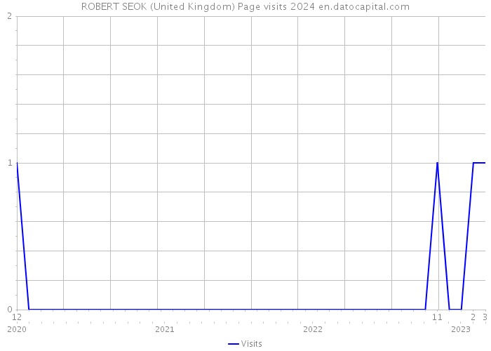 ROBERT SEOK (United Kingdom) Page visits 2024 